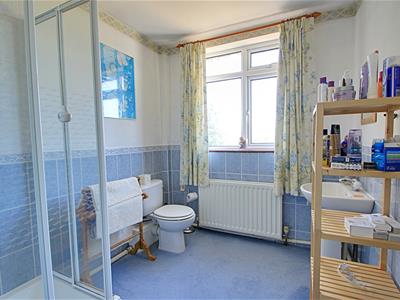 Picture 21